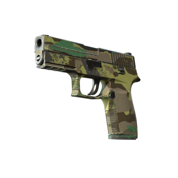 P250 | Boreal Forest (Well-Worn)