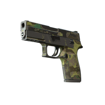 P250 | Boreal Forest (Battle-Scarred)