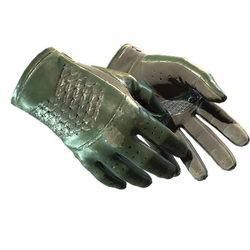 ★ Driver Gloves | Racing Green (Field-Tested)