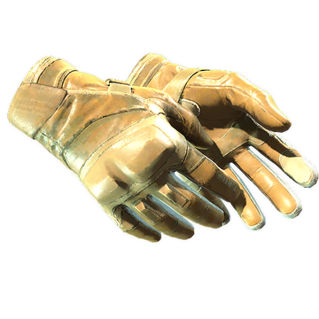 ★ Moto Gloves | Transport