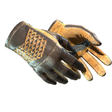 ★ Driver Gloves | Overtake (Well-Worn)