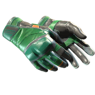 ★ Moto Gloves | Turtle