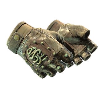 ★ Hydra Gloves | Rattler (Battle-Scarred)