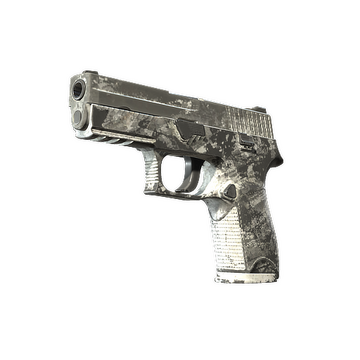 P250 | Sleet (Battle-Scarred)