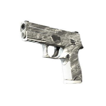 P250 | Sleet (Factory New)